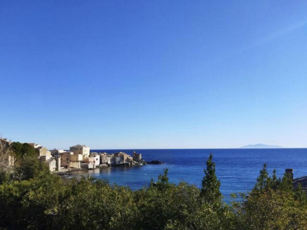 Beau T2 Au Calme A Deux Pas Du Port D'Erbalunga Apartment Ербалунга Екстериор снимка